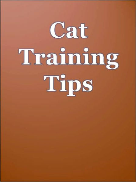 Cat Training Tips