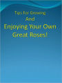 Tips For Growing And Enjoying Your Own Great Roses!