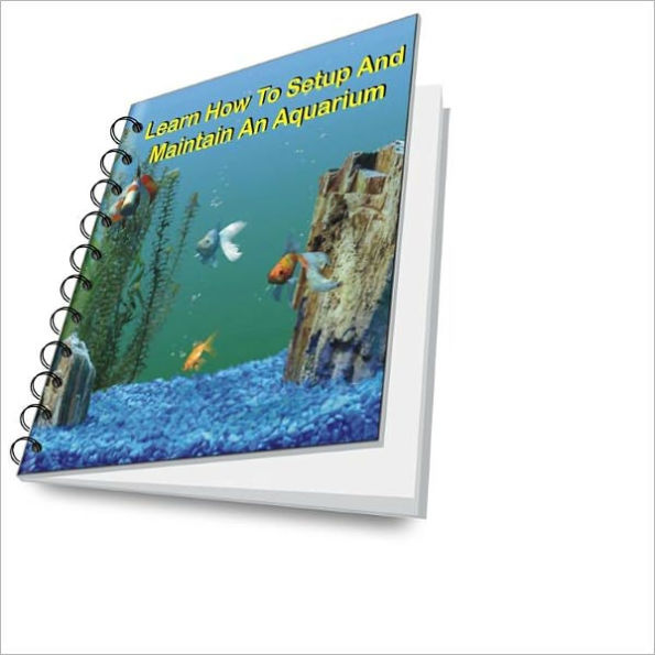 Learn How To Setup And Maintain An Aquarium