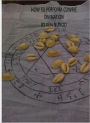 HOW TO PERFORM COWRIE DIVINATION