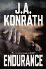 Endurance: A Novel