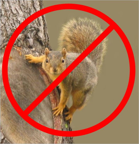 Build an Extreem Green Squirrel-Proof Bird Feeder