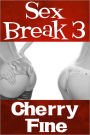 Sex Break 3 (Erotica/Erotic Romance)
