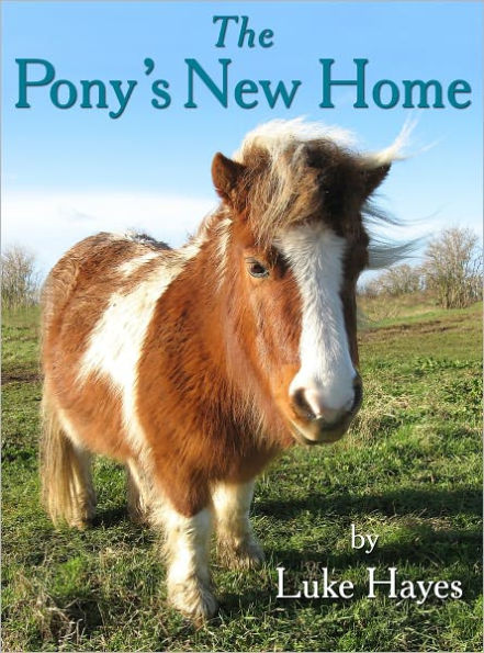 The Pony's New Home