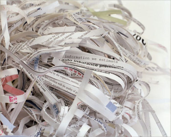 Document Shredding Service Start Up Sample Business Plan!