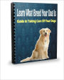 Learn What Breed Your Dog Is: Guide In Taking Care Of Your Dogs