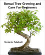 Bonsai Tree Growing and Care For Beginners