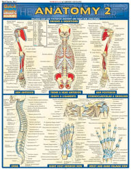 Title: Anatomy 2, Author: BarCharts