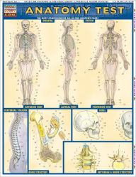 Title: Anatomy Test, Author: Vincent Perez