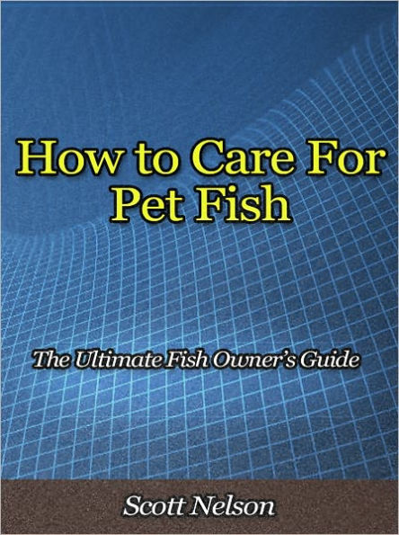 How to Care For Pet Fish - The Ultimate Fish Owner’s Guide