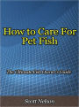 How to Care For Pet Fish - The Ultimate Fish Owner’s Guide