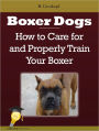 Boxer Dogs: How to Care for and Properly Train Your Boxer