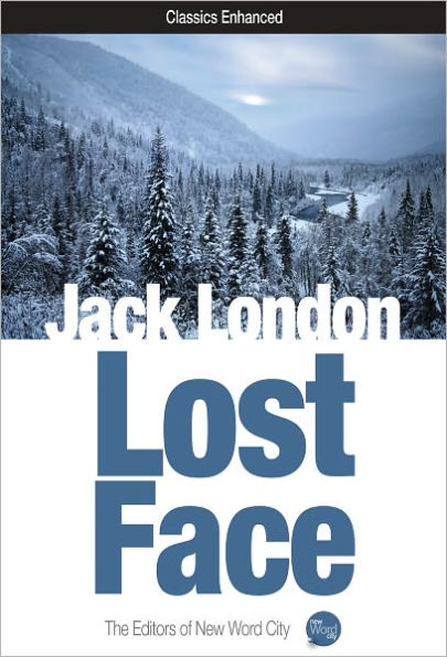 Lost Face