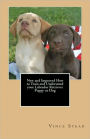 New and Improved How to Train and Understand your Labrador Retriever Puppy or Dog
