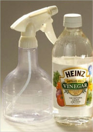 Title: Vinegar for Cleaning, Author: Ebook Legend