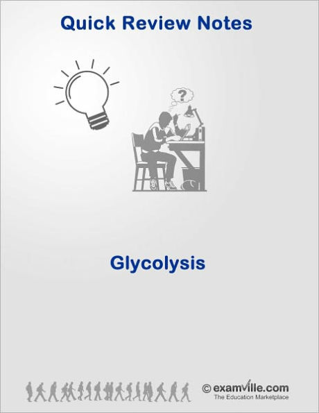 Glycolysis - Biochemistry Quick Review Notes