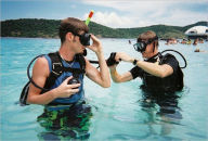 Title: Scuba Diving For The Whole Family, Author: Scuba Girl