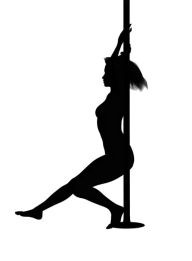 Title: Pole Dancing Made Easy-Lose Weight Have Fun-Make Money, Author: Sandy Hall