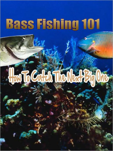 Bass Fishing 101 How To Catch The Next Big One