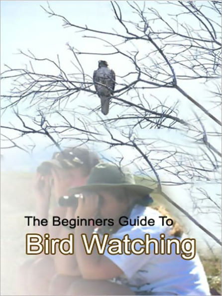 The Beginners Guide To Bird Watching