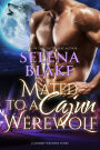 Mated to a Cajun Werewolf (Stormy Weather, Book Four)