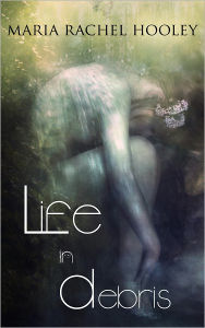 Title: Life In Debris, Author: Maria Rachel Hooley