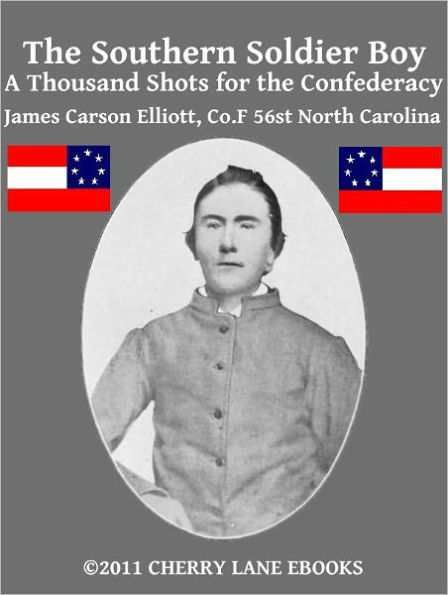 The Southern Soldier Boy - A Thousand Shots for the Confederacy