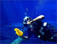 Title: Scuba Diving For The Whole Family, Author: Scuba Girl