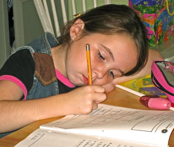 Thinking of Home Schooling? First, What You Should Know