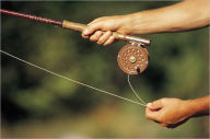 Title: Fly Fishing for Beginners - A simple guide to fly fishing equipment and techniques, Author: Kip Stanley