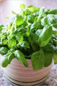 Title: Container Gardening: Growing Herbs & Vegetables Indoors and Out, Author: Roselyn Greenburg