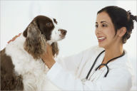 Title: Veterinarian Veterinary Clinic Hospital Start Up Sample Business Plan!, Author: Bplan Xchange