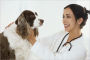 Veterinarian Veterinary Clinic Hospital Start Up Sample Business Plan!
