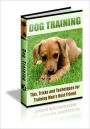 90 Dog Training Tips