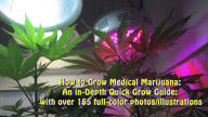 Title: How to Grow Medical Marijuana: An in-Depth Quick Grow Guide: with over 155 full-color photos/illustrations, Author: David Curran
