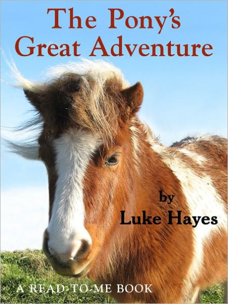 The Pony's Great Adventure