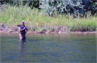 Title: Fly Fishing - Part 2: The Fish, the Flies & the Spots, Author: Robert Danforth