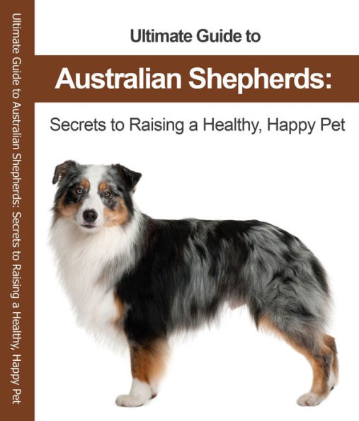 Australian Shepherds