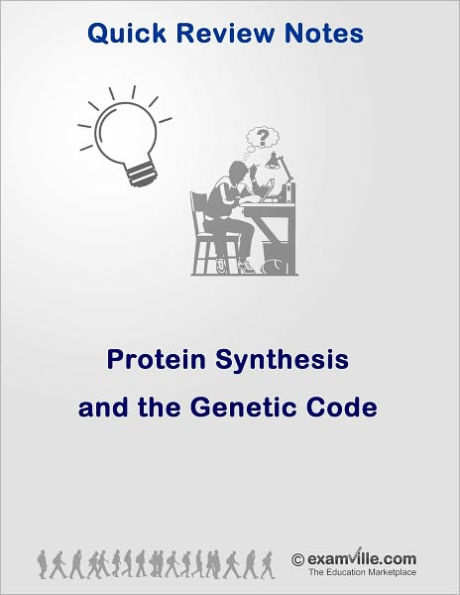 Quick Review: Protein Synthesis and the Genetic Code