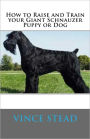 How to Raise and Train your Giant Schnauzer Puppy or Dog