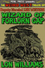 Wizard of Forlorn Gap