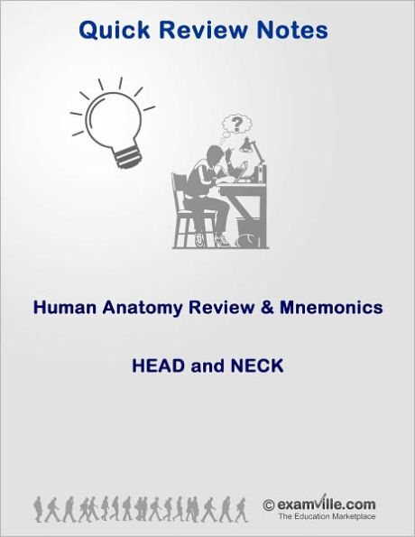 Human Anatomy Review & Mnemonics: Head and Neck