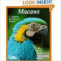 The Amazing and Majestic Macaw