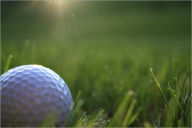 Title: Golf: The Greatest Game!, Author: Don Sneedly