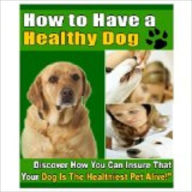 Title: How You Can Have a Healthy Dog!, Author: John Scotts