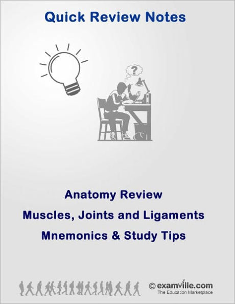 Muscles, Joints and Ligaments: Mnemonics and Study Tips