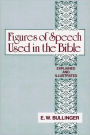 Figures of Speech Used In the Bible: Explained and Illustrated (Corrected)