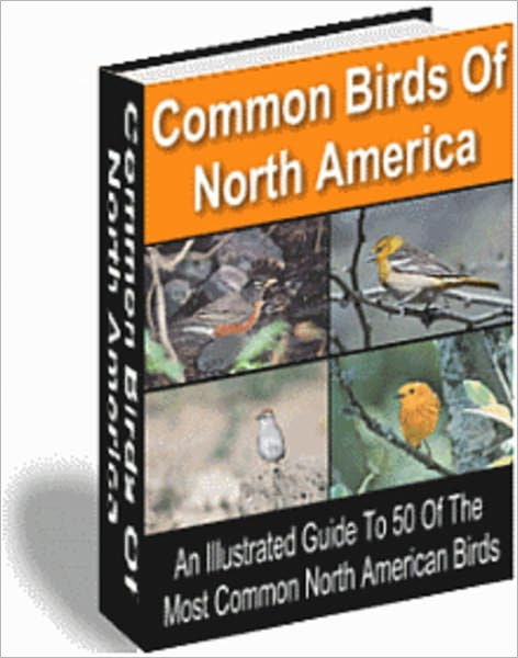 Common Birds of North America - All Illustrated Guide to 50 Of the Most ...