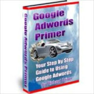 Title: Google Adwords Primer - Your Step by Step Guide to Using Google Adwords, Author: Richard Drive