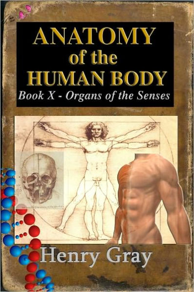 Anatomy of the Human Body - Book X The Organs of the Senses and the Common Integument